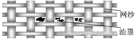 网布示意图